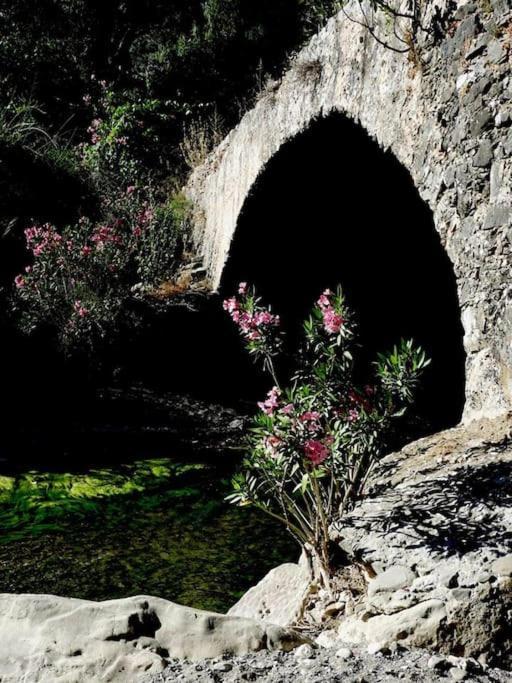 Orne Magical Retreat Βίλα Εξωτερικό φωτογραφία